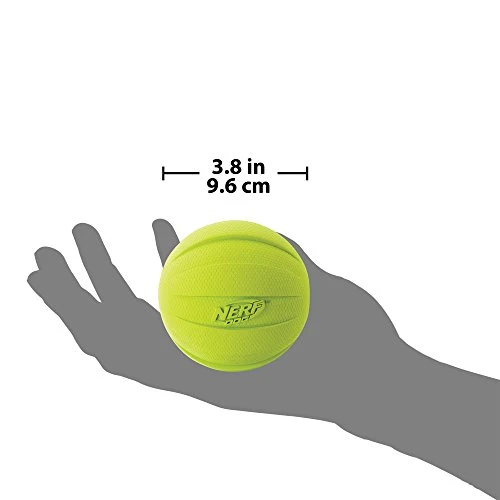 Nerf perro pelota chillona.