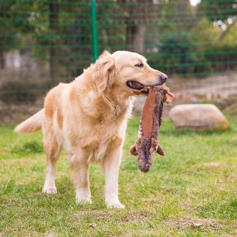 HIPET Juguetes para perros sin relleno, juguetes para perros chirriantes, masticadores de felpa para perros grandes, 4 piezas