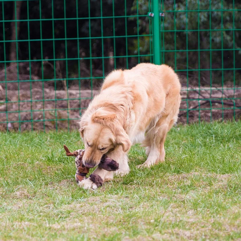 HIPET Juguetes para perros sin relleno, juguetes para perros chirriantes, masticadores de felpa para perros grandes, 4 piezas