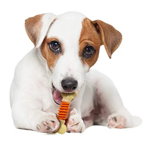 Nylabone Dental Chew Bacon flavored Pro Action Bone Dog Chew Toy