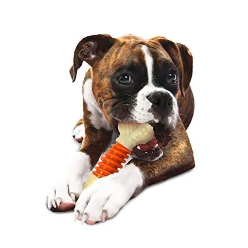 Nylabone Dental Chew Bacon flavored Pro Action Bone Dog Chew Toy