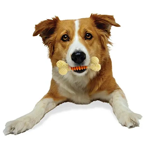 Nylabone Dental Chew Bacon flavored Pro Action Bone Dog Chew Toy