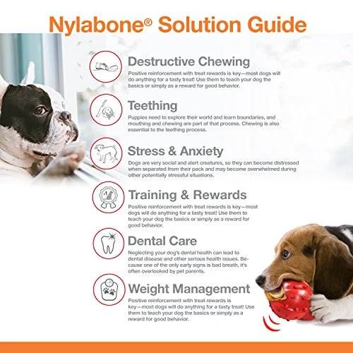Nylabone - Peluche para perro