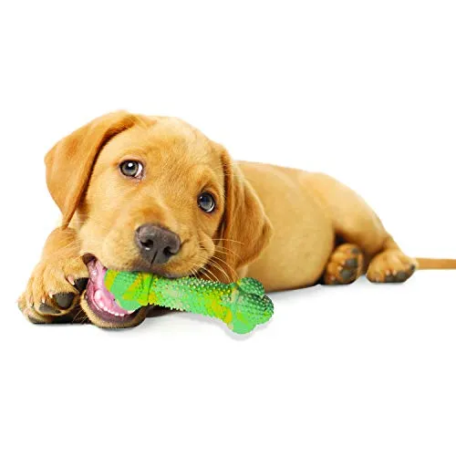 Nylabone Puppy Chew Toy | Hueso de dentición para cachorros | Juguete para masticadores suaves