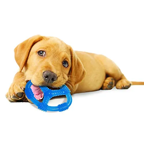 Nylabone Puppy Chew Toy | Hueso de dentición para cachorros | Juguete para masticadores suaves