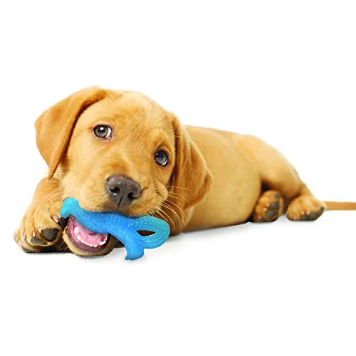 Nylabone Puppy Chew Toy | Hueso de dentición para cachorros | Juguete para masticadores suaves