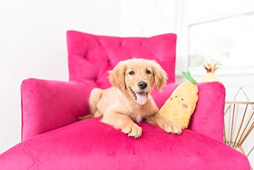 ZippyPaws NomNomz - Juguete de peluche para perro