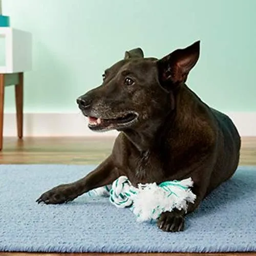 Booda Fresh N Floss Tug Rope Dog Toy