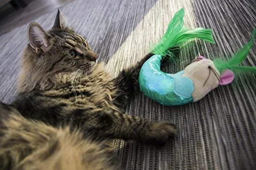 SmartyKat - Juguete para gatos con pluma