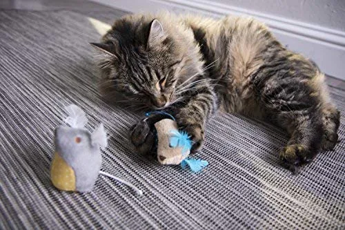 SmartyKat - Juguete para gatos con pluma