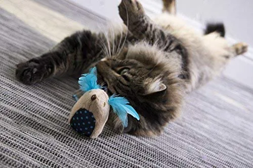 SmartyKat - Juguete para gatos con pluma