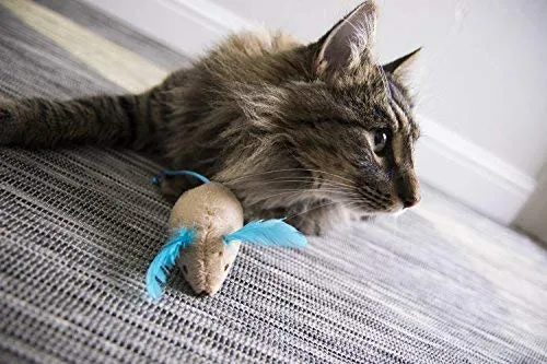 SmartyKat - Juguete para gatos con pluma