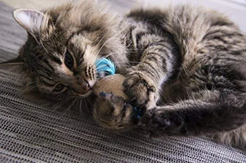 SmartyKat - Juguete para gatos con pluma