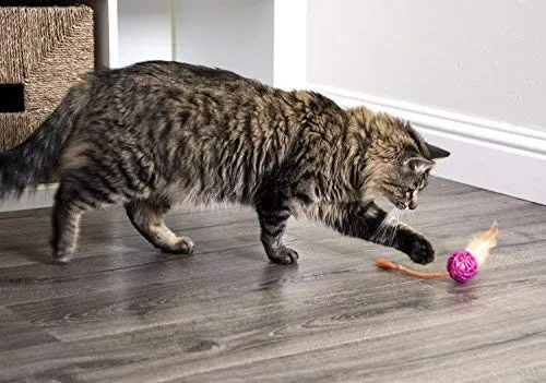 SmartyKat - Juguete para gatos con pluma