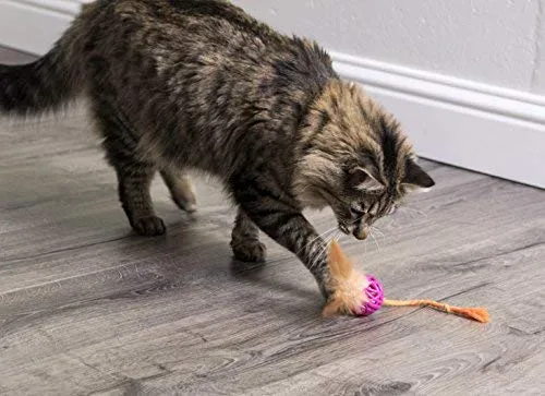 SmartyKat - Juguete para gatos con pluma