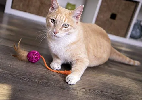 SmartyKat - Juguete para gatos con pluma