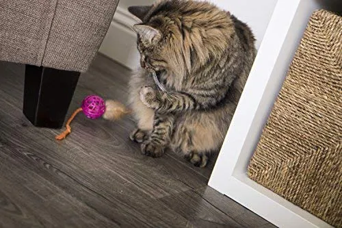 SmartyKat - Juguete para gatos con pluma