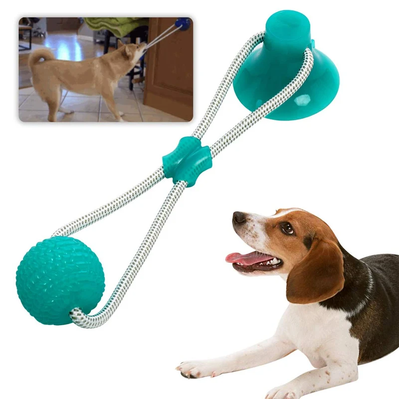 Pelota de goma para mascotas con ventosa, juguete interactivo para masticar perros y gatos