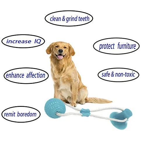 Pelota de goma para mascotas con ventosa, juguete interactivo para masticar perros y gatos