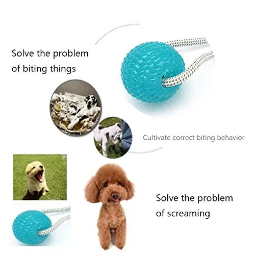 Pelota de goma para mascotas con ventosa, juguete interactivo para masticar perros y gatos
