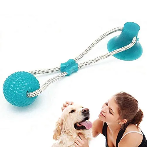 Pelota de goma para mascotas con ventosa, juguete interactivo para masticar perros y gatos