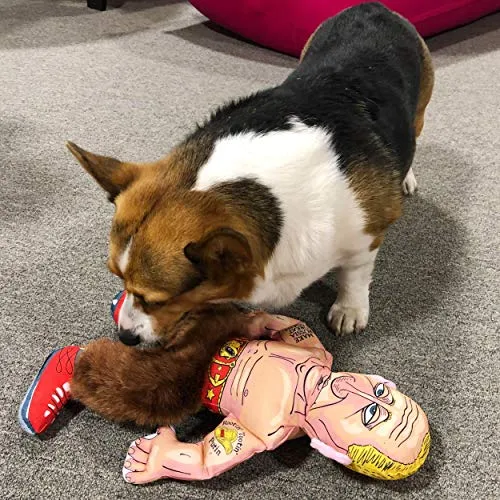 FUZZU Political Parody Dog Toys with Squeakers (Medium to Large Dogs), Various Styles (Bernie, Bill, Donald, Hillary, Vladimir) - Fun & Entertaining, Durable, Hand Illustrated Design & Premium Quality