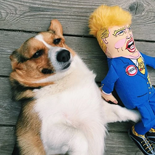 FUZZU Political Parody Dog Toys with Squeakers (Medium to Large Dogs), Various Styles (Bernie, Bill, Donald, Hillary, Vladimir) - Fun & Entertaining, Durable, Hand Illustrated Design & Premium Quality