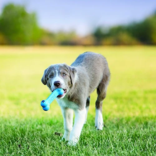 Mordedor con hueso para cachorros