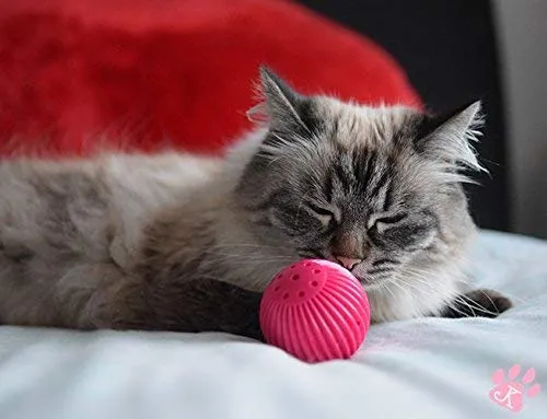 Pet Qwerks – Pelota de gato con infusor de gato, juguete interactivo para gato
