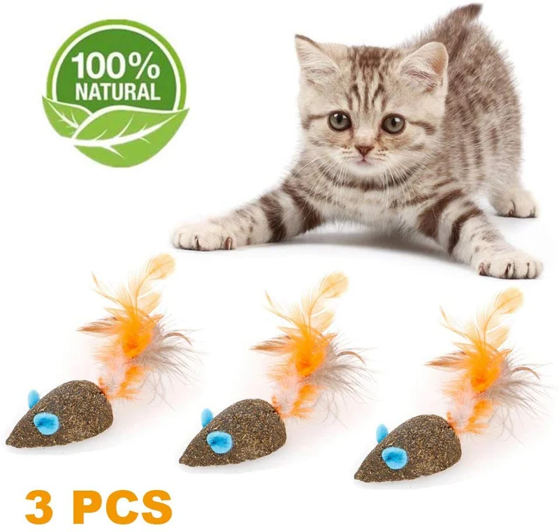 WoLover Cat Catnip Sticks Natural Matatabi Silvervine Sticks – Limpieza de dientes Molar Herramientas Gatito Gato Masticar Juguete Natural Catnip Ratón Gato Juguete