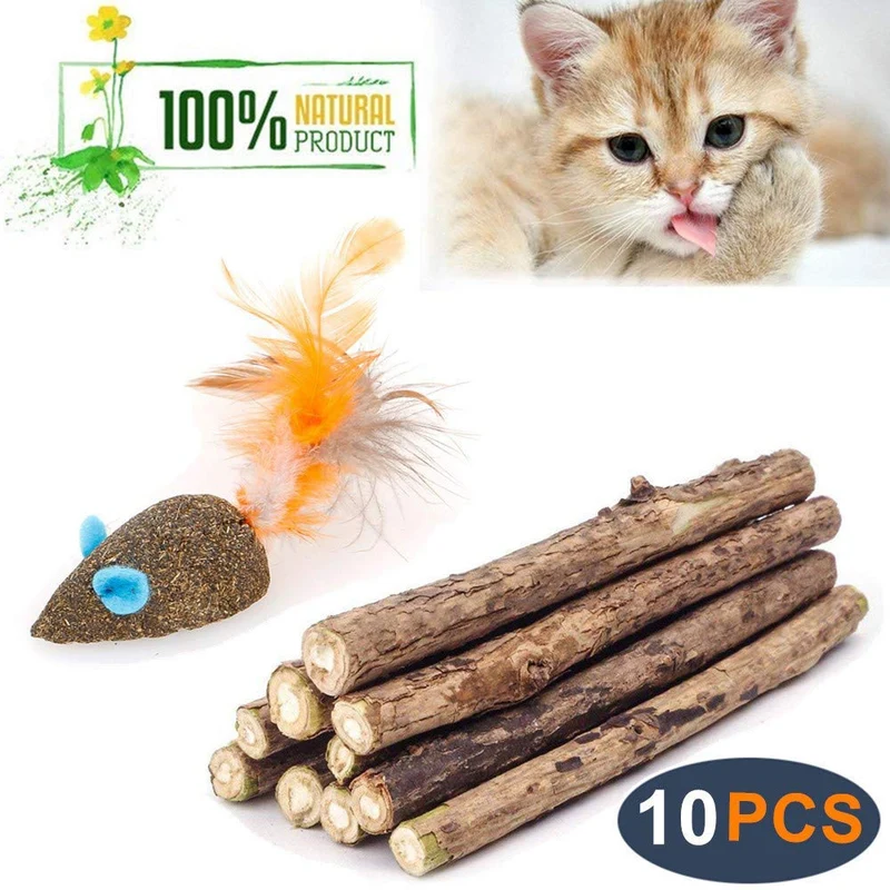 WoLover Cat Catnip Sticks Natural Matatabi Silvervine Sticks – Limpieza de dientes Molar Herramientas Gatito Gato Masticar Juguete Natural Catnip Ratón Gato Juguete