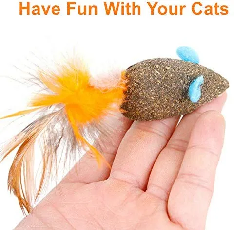 WoLover Cat Catnip Sticks Natural Matatabi Silvervine Sticks – Limpieza de dientes Molar Herramientas Gatito Gato Masticar Juguete Natural Catnip Ratón Gato Juguete