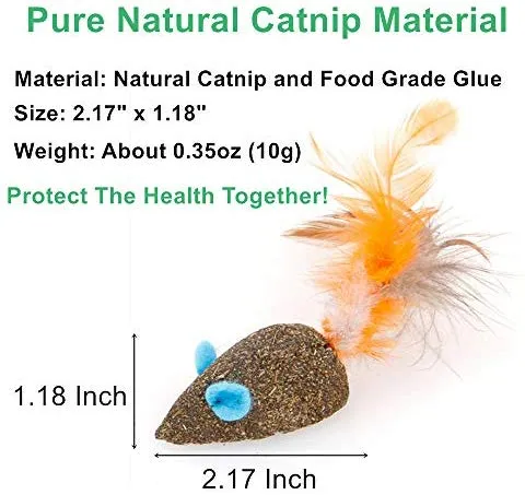 WoLover Cat Catnip Sticks Natural Matatabi Silvervine Sticks – Limpieza de dientes Molar Herramientas Gatito Gato Masticar Juguete Natural Catnip Ratón Gato Juguete