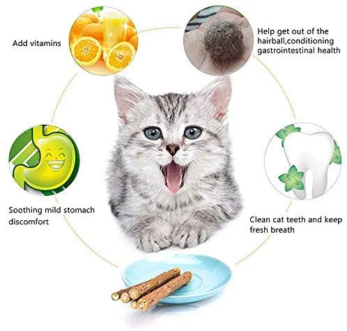 WoLover Cat Catnip Sticks Natural Matatabi Silvervine Sticks – Limpieza de dientes Molar Herramientas Gatito Gato Masticar Juguete Natural Catnip Ratón Gato Juguete