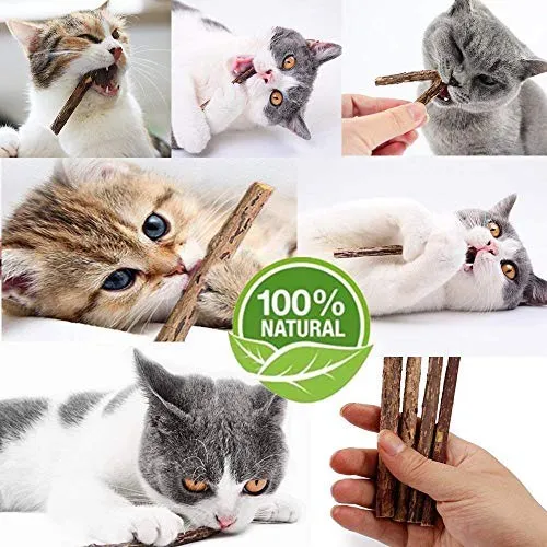 WoLover Cat Catnip Sticks Natural Matatabi Silvervine Sticks – Limpieza de dientes Molar Herramientas Gatito Gato Masticar Juguete Natural Catnip Ratón Gato Juguete