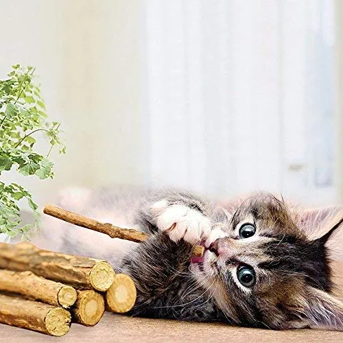 WoLover Cat Catnip Sticks Natural Matatabi Silvervine Sticks – Limpieza de dientes Molar Herramientas Gatito Gato Masticar Juguete Natural Catnip Ratón Gato Juguete