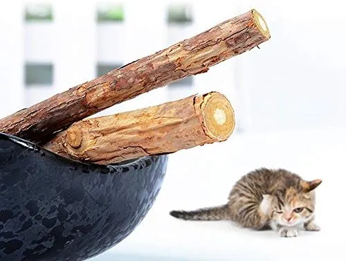 WoLover Cat Catnip Sticks Natural Matatabi Silvervine Sticks – Limpieza de dientes Molar Herramientas Gatito Gato Masticar Juguete Natural Catnip Ratón Gato Juguete