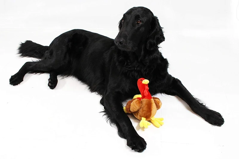 Turquía perro juguete por midlee