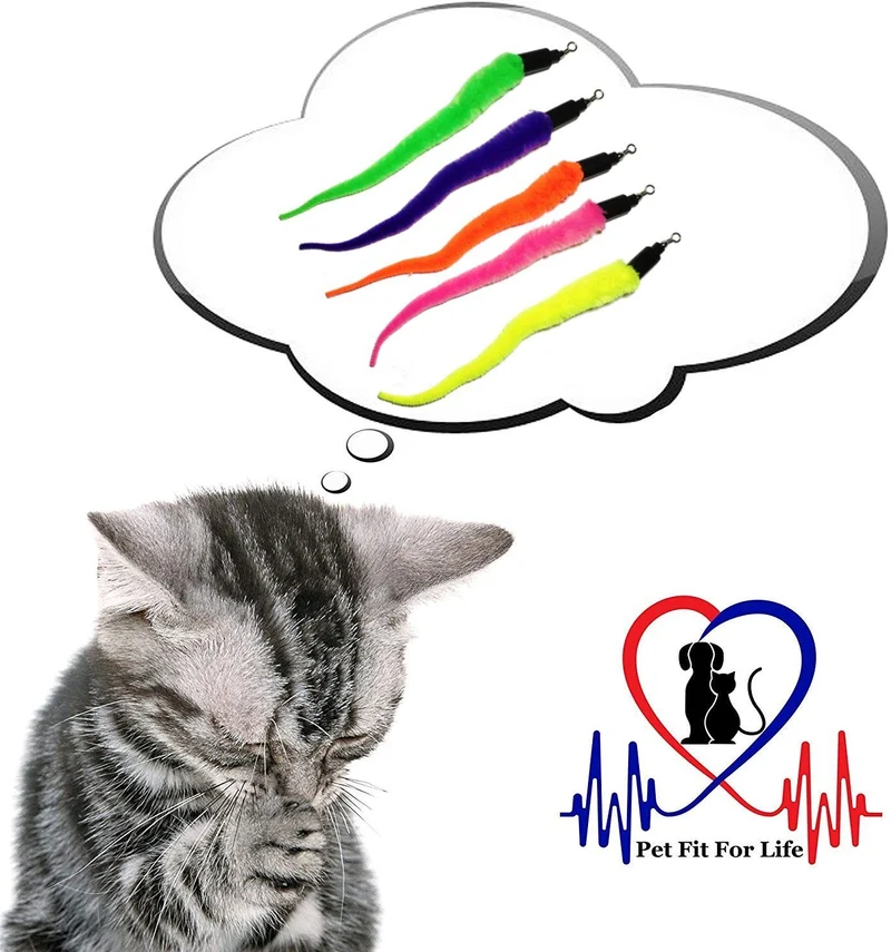 Pet Fit para la vida 5 pieza Pack de gusanos de repuesto para interactivo gato y kitten Toy wands