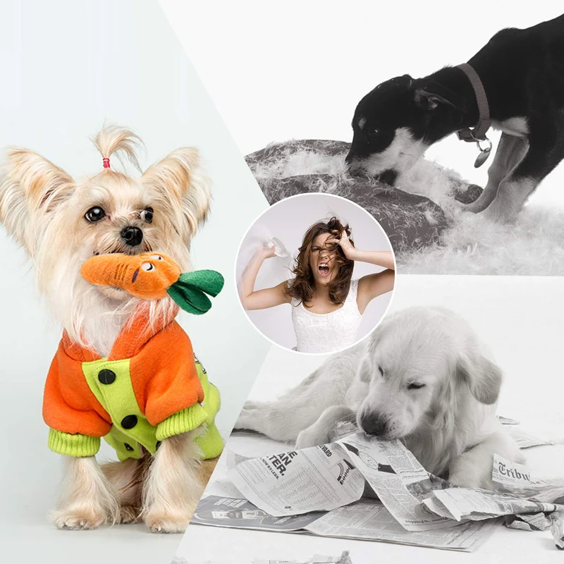 Nocciola - Juguetes de peluche, 12 unidades, para perros pequeños, medianos, juguetes para mascotas, juguetes chirriantes, juegos de peluche, bolsa de transporte