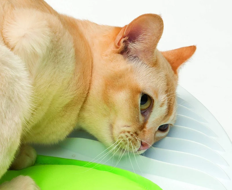 Centro de bienestar para gatos 2.0 de la marca Catit Senses
