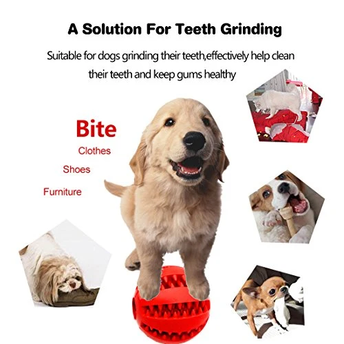 Idepet Pelota de juguete para perro, no tóxica, resistente a mordidas, pelota de juguete para mascotas, perros, cachorros, gatos, alimentador de comida para mascotas, masticar, limpieza de dientes, juego de pelotas de ejercicio, 2 unidades, azul y verde