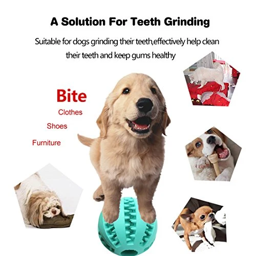 Idepet Pelota de juguete para perro, no tóxica, resistente a mordidas, pelota de juguete para mascotas, perros, cachorros, gatos, alimentador de comida para mascotas, masticar, limpieza de dientes, juego de pelotas de ejercicio, 2 unidades, azul y verde