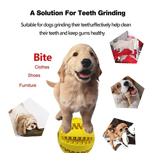 Idepet Pelota de juguete para perro, no tóxica, resistente a mordidas, pelota de juguete para mascotas, perros, cachorros, gatos, alimentador de comida para mascotas, masticar, limpieza de dientes, juego de pelotas de ejercicio, 2 unidades, azul y verde