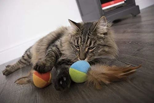SmartyKat - Juguetes para gatos con plumas