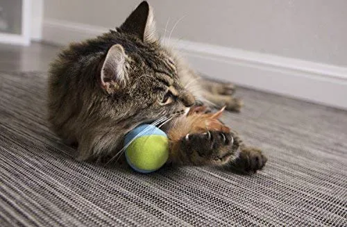SmartyKat - Juguetes para gatos con plumas
