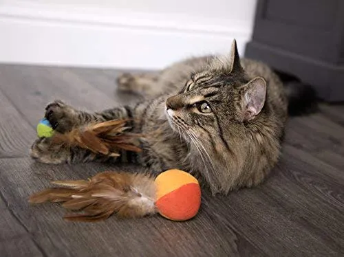 SmartyKat - Juguetes para gatos con plumas
