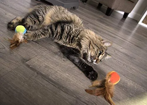 SmartyKat - Juguetes para gatos con plumas