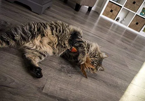 SmartyKat - Juguetes para gatos con plumas