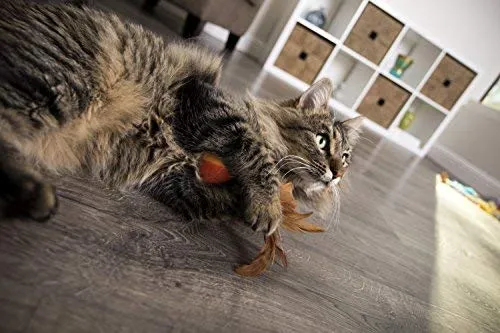 SmartyKat - Juguetes para gatos con plumas